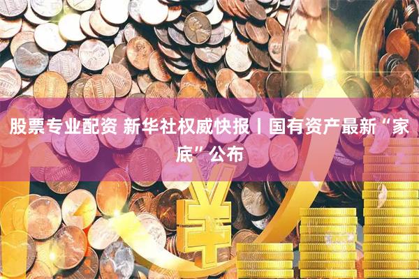股票专业配资 新华社权威快报丨国有资产最新“家底”公布