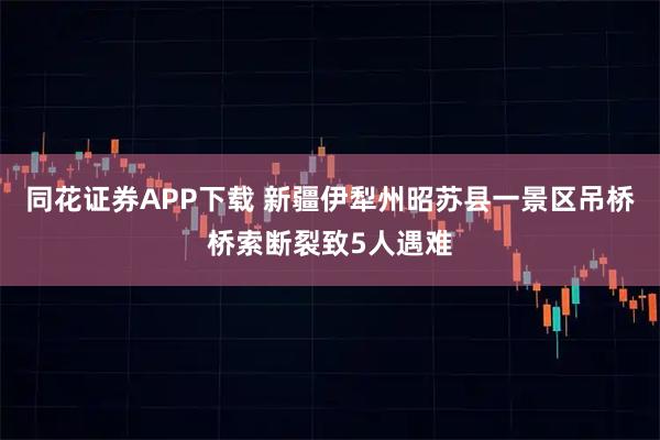 同花证券APP下载 新疆伊犁州昭苏县一景区吊桥桥索断裂致5人遇难